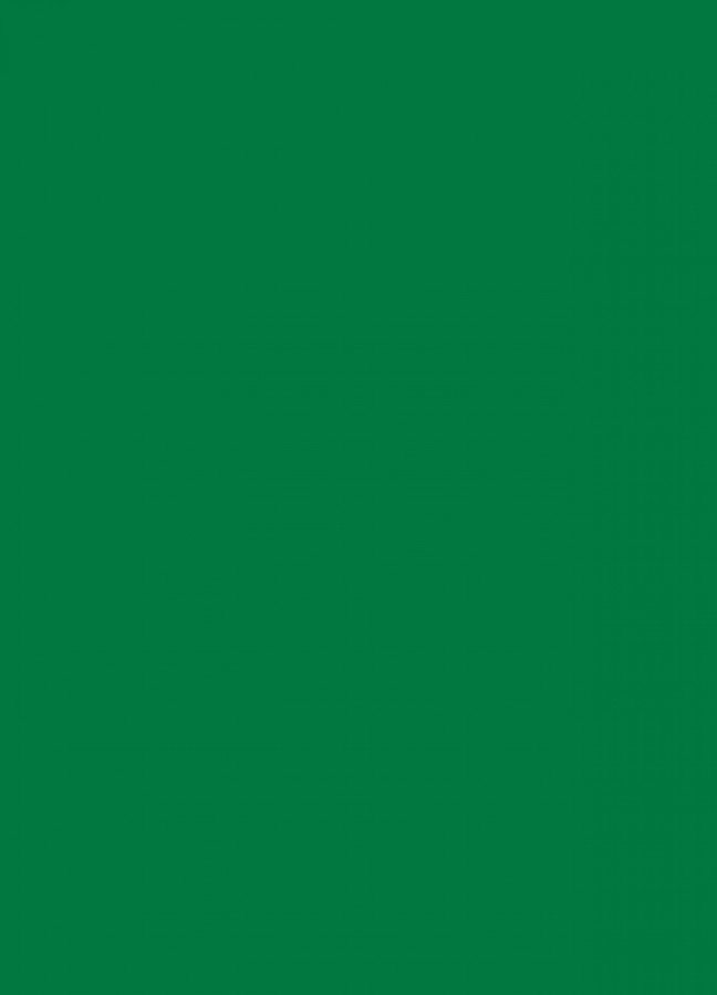 Фасады Фасад из акрила 068 Grass green (Травянисто-зеленый) на заказ в Бахчисарае фотография