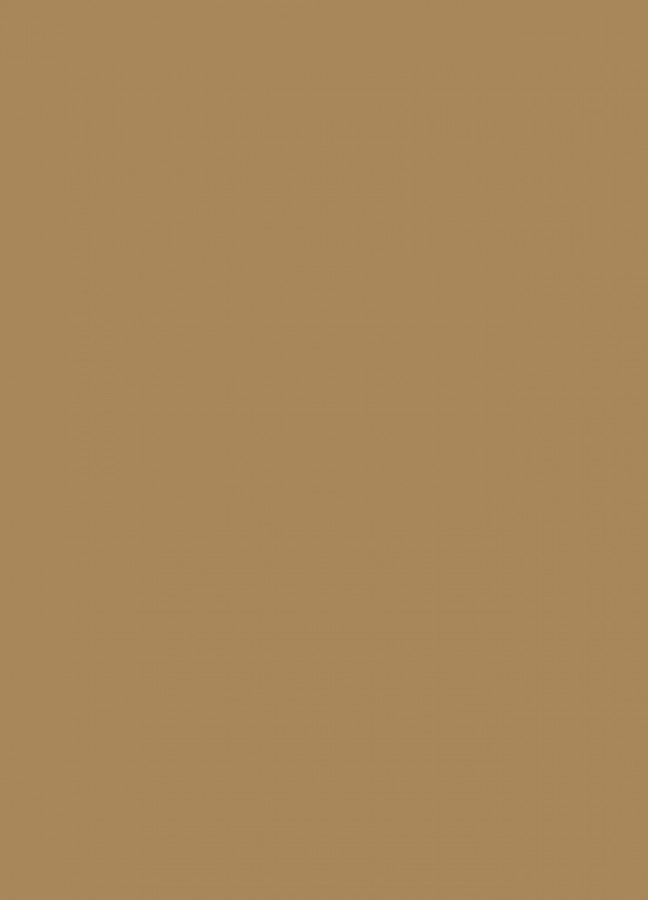 Фасады Фасад из акрила 081 Light brown (Светло-коричневый) на заказ в Бахчисарае фотография