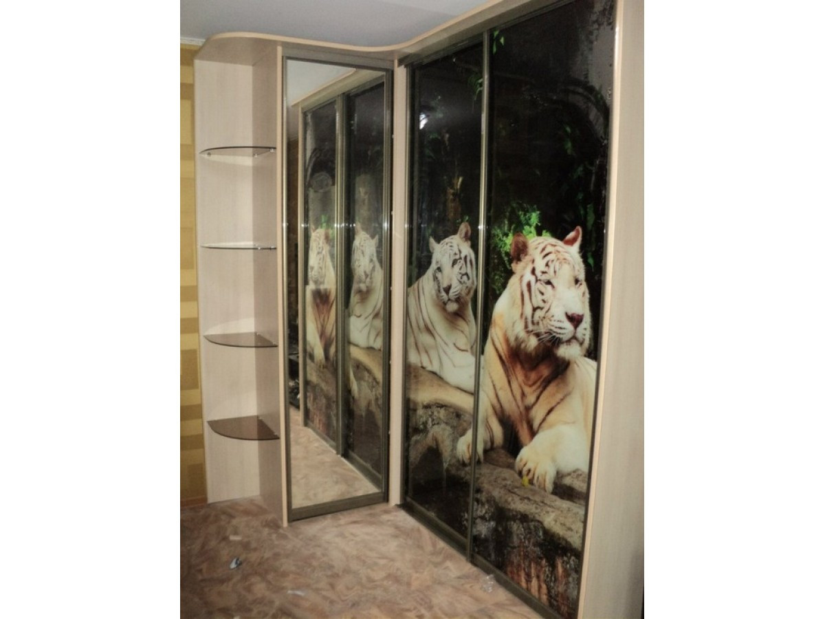 Шкафы-купе на заказ Криа фотография